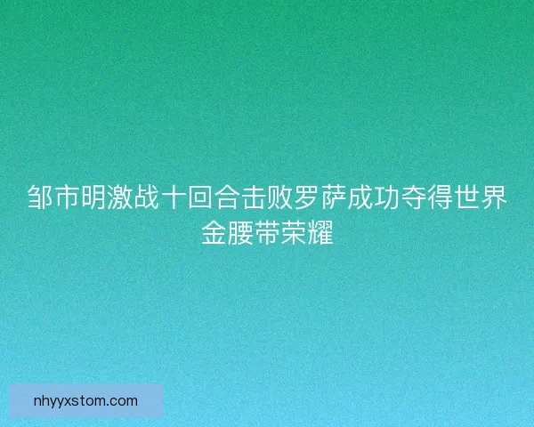 邹市明激战十回合击败罗萨成功夺得世界金腰带荣耀