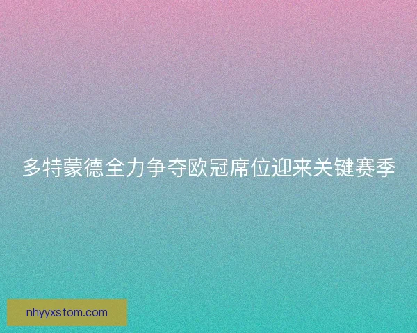 多特蒙德全力争夺欧冠席位迎来关键赛季